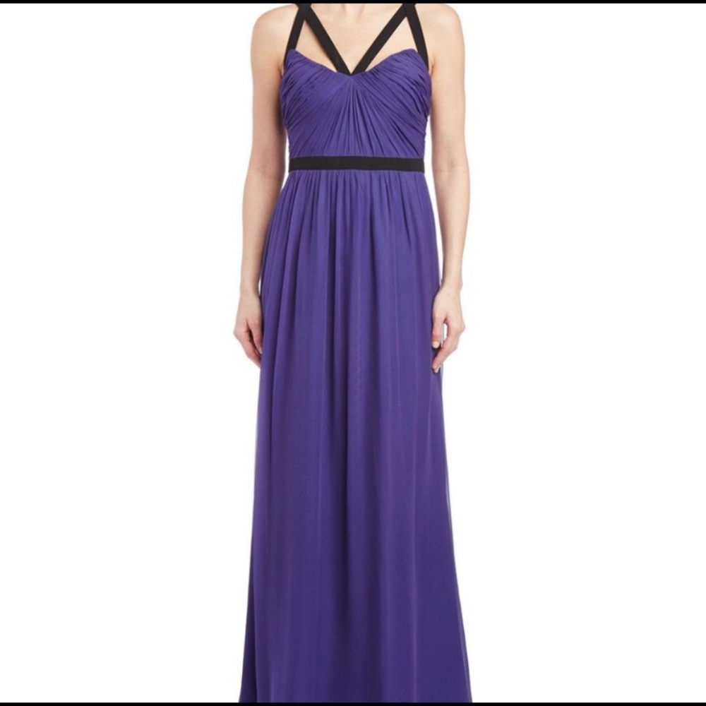 Jill Jill Stuart Bluestone Silk Chiffon Gown 2 NWT